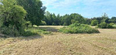 Terrain à Ménesplet en Dordogne (24) de 8000 m² à vendre au prix de 50000€ - 1