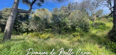 Terrain à Villeneuve-lès-Avignon en Gard (30) de 1000 m² à vendre au prix de 380000€ - 3