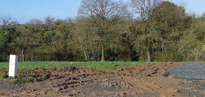 Terrain et maison à Beaufou en Vendée (85) de 95 m² à vendre au prix de 227530€ - 3