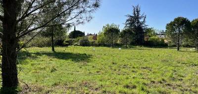 Terrain à Caromb en Vaucluse (84) de 462 m² à vendre au prix de 130000€ - 3