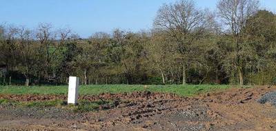 Terrain et maison à Beaufou en Vendée (85) de 80 m² à vendre au prix de 198909€ - 4