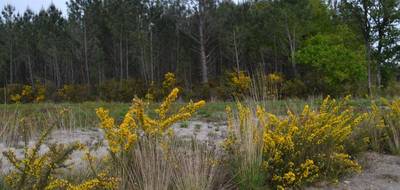 Terrain à Mios en Gironde (33) de 908 m² à vendre au prix de 260000€ - 1