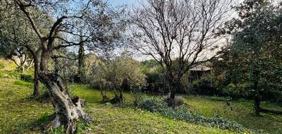 Terrain à Flayosc en Var (83) de 850 m² à vendre au prix de 160000€ - 3