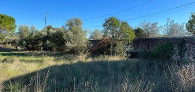 Terrain à Cuers en Var (83) de 441 m² à vendre au prix de 169000€ - 1