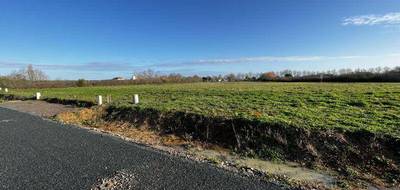 Terrain et maison à Saint-Michel-en-l'Herm en Vendée (85) de 90 m² à vendre au prix de 218000€ - 3