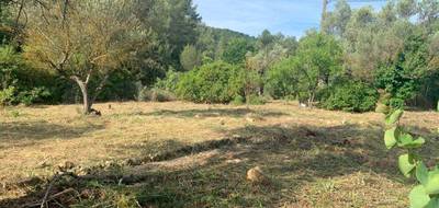 Terrain à Cuers en Var (83) de 919 m² à vendre au prix de 250000€ - 3