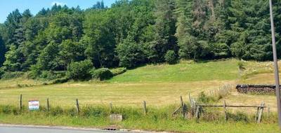 Terrain à Argentat-sur-Dordogne en Corrèze (19) de 7000 m² à vendre au prix de 35000€ - 1