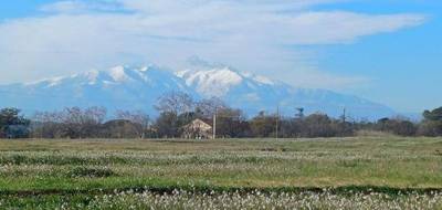 Terrain et maison à Villeneuve-de-la-Raho en Pyrénées-Orientales (66) de 170 m² à vendre au prix de 899000€ - 4