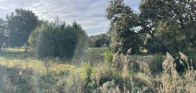 Terrain et maison à Saint-Siffret en Gard (30) de 100 m² à vendre au prix de 329500€ - 3