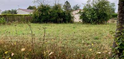 Terrain à Cognac en Charente (16) de 800 m² à vendre au prix de 48500€ - 1