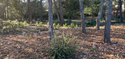 Terrain à Trans-en-Provence en Var (83) de 2241 m² à vendre au prix de 240000€ - 1