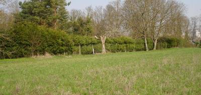 Terrain à Montigny-sur-Loing en Seine-et-Marne (77) de 342 m² à vendre au prix de 86000€ - 1