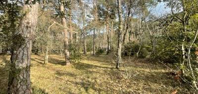 Terrain à Plan-d'Aups-Sainte-Baume en Var (83) de 160 m² à vendre au prix de 120000€ - 1