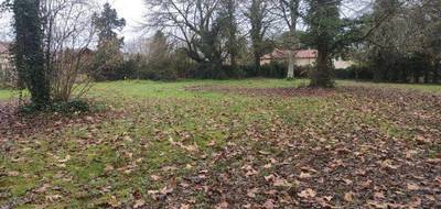 Terrain à Roquefort en Landes (40) de 1400 m² à vendre au prix de 42000€ - 1