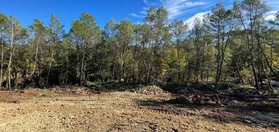 Terrain à Lorgues en Var (83) de 800 m² à vendre au prix de 115000€ - 1