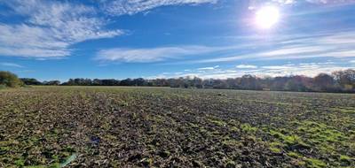 Terrain à Pomps en Pyrénées-Atlantiques (64) de 1160 m² à vendre au prix de 39500€ - 1