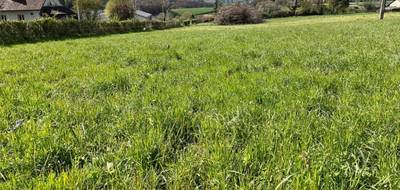 Terrain à Arpajon-sur-Cère en Cantal (15) de 1185 m² à vendre au prix de 71760€ - 3