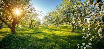 Terrain à La Ferté-Bernard en Sarthe (72) de 439 m² à vendre au prix de 45000€ - 3