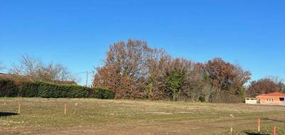 Terrain à Coufouleux en Tarn (81) de 614 m² à vendre au prix de 77000€ - 3