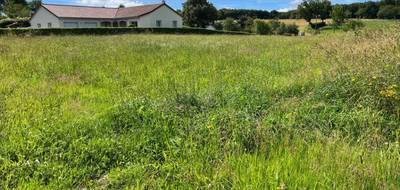 Terrain à Roannes-Saint-Mary en Cantal (15) de 900 m² à vendre au prix de 22500€ - 1