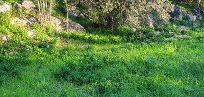 Terrain et maison à Camps-la-Source en Var (83) de 110 m² à vendre au prix de 351000€ - 4