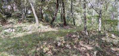 Terrain à Lorgues en Var (83) de 1160 m² à vendre au prix de 150000€ - 2