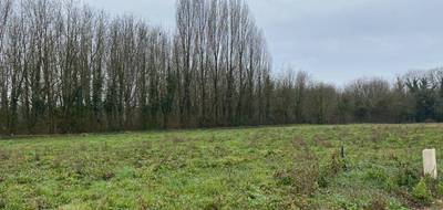 Terrain à Montpellier-de-Médillan en Charente-Maritime (17) de 600 m² à vendre au prix de 42000€ - 1