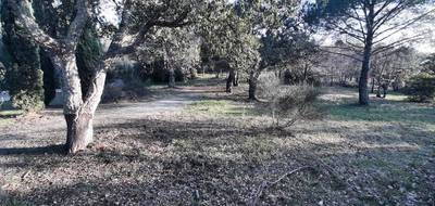 Terrain à Vidauban en Var (83) de 600 m² à vendre au prix de 149000€ - 3