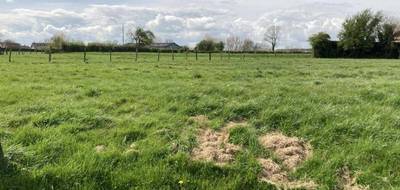 Terrain et maison à Diéval en Pas-de-Calais (62) de 90 m² à vendre au prix de 189589€ - 4