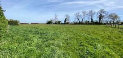 Terrain à Nonant en Calvados (14) de 558 m² à vendre au prix de 59500€ - 2