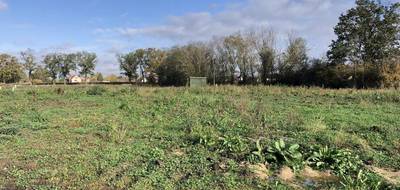 Terrain et maison à Bessay-sur-Allier en Allier (03) de 76 m² à vendre au prix de 181789€ - 3