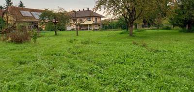 Terrain à Jebsheim en Haut-Rhin (68) de 649 m² à vendre au prix de 136550€ - 2