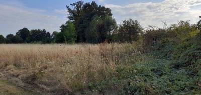 Terrain et maison à Couzeix en Haute-Vienne (87) de 90 m² à vendre au prix de 265300€ - 4