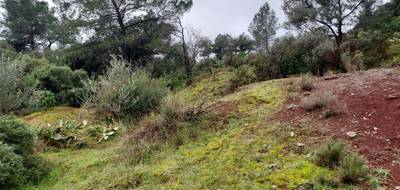 Terrain à Gonfaron en Var (83) de 481 m² à vendre au prix de 130000€ - 2