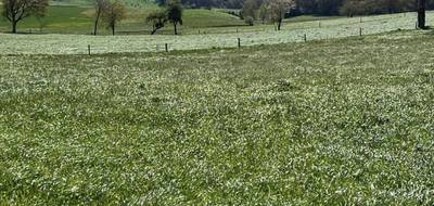 Terrain à Marcolès en Cantal (15) de 1700 m² à vendre au prix de 20400€ - 1