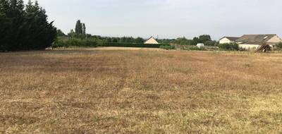 Terrain et maison à Bellevigne-les-Châteaux en Maine-et-Loire (49) de 85 m² à vendre au prix de 194992€ - 3