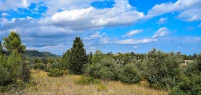 Terrain à Valflaunès en Hérault (34) de 560 m² à vendre au prix de 229900€ - 1