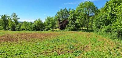 Terrain et maison à Puylaurens en Tarn (81) de 120 m² à vendre au prix de 275470€ - 3