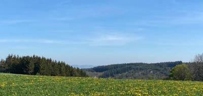 Terrain à Saint-Just-Malmont en Haute-Loire (43) de 893 m² à vendre au prix de 74000€ - 3