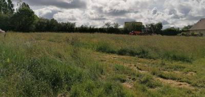 Terrain et maison à Le Controis-en-Sologne en Loir-et-Cher (41) de 110 m² à vendre au prix de 254947€ - 3