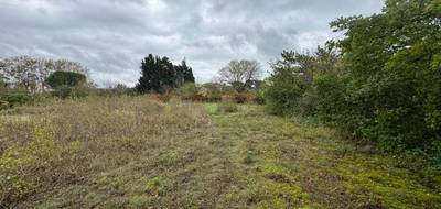 Terrain et maison à Castelnaudary en Aude (11) de 88 m² à vendre au prix de 195987€ - 4