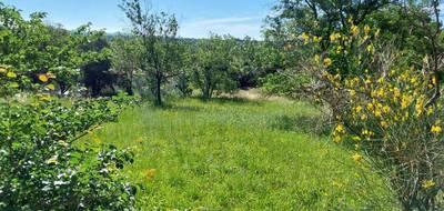 Terrain et maison à Roquebrune-sur-Argens en Var (83) de 60 m² à vendre au prix de 401968€ - 4