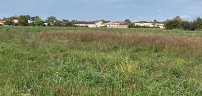 Terrain à Gaillac en Tarn (81) de 509 m² à vendre au prix de 65500€ - 2