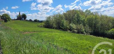 Terrain à Thermes-Magnoac en Hautes-Pyrénées (65) de 13135 m² à vendre au prix de 55000€ - 3