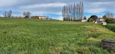 Terrain à Villeneuve-de-Duras en Lot-et-Garonne (47) de 4000 m² à vendre au prix de 40000€ - 2