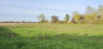 Terrain et maison à La Croix-en-Touraine en Indre-et-Loire (37) de 417 m² à vendre au prix de 176235€ - 3