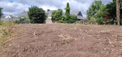 Terrain et maison à Vannes en Morbihan (56) de 350 m² à vendre au prix de 482503€ - 3