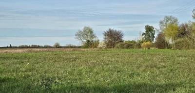 Terrain et maison à Loches en Indre-et-Loire (37) de 1120 m² à vendre au prix de 173635€ - 3