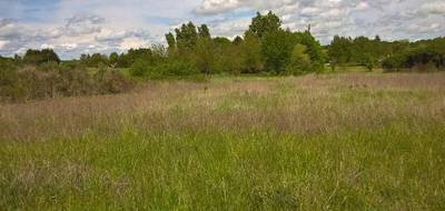 Terrain et maison à Juranville en Loiret (45) de 850 m² à vendre au prix de 184990€ - 3