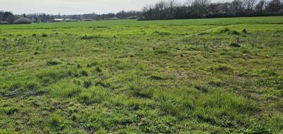 Terrain et maison à Beaulieu-lès-Loches en Indre-et-Loire (37) de 925 m² à vendre au prix de 183918€ - 3